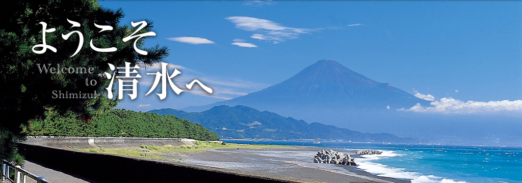 Welcome to Shimizu